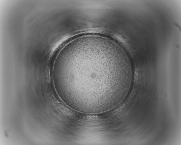 X0000102501310200808151511