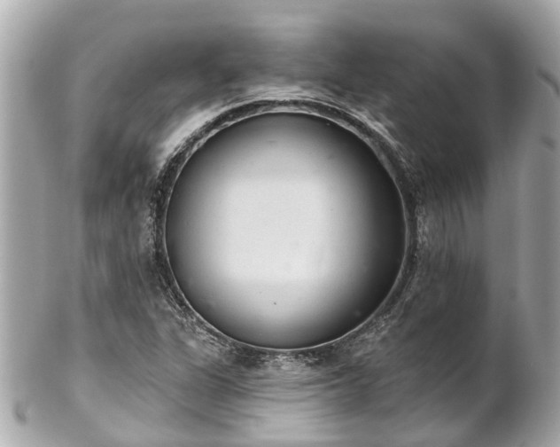 X0000102501311200808151511