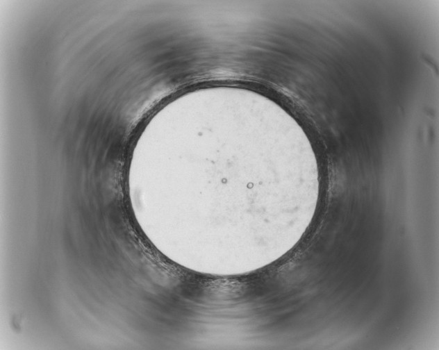 X0000102501314200808151511