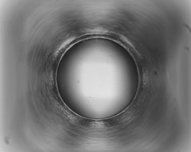 X0000102501315200808151511