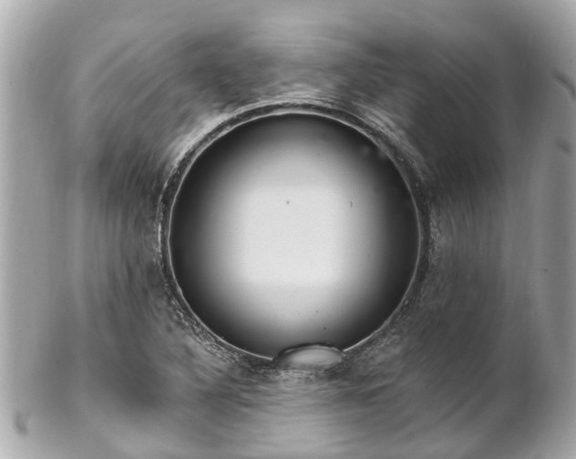 X0000102501316200808151511