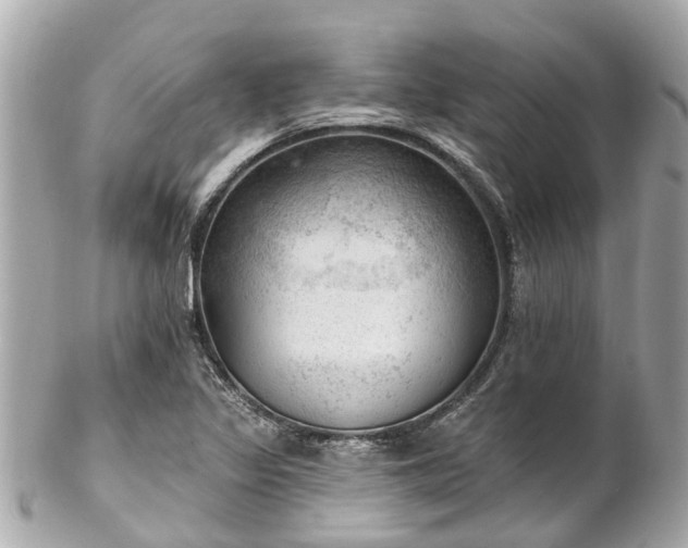 X0000102501317200808151511