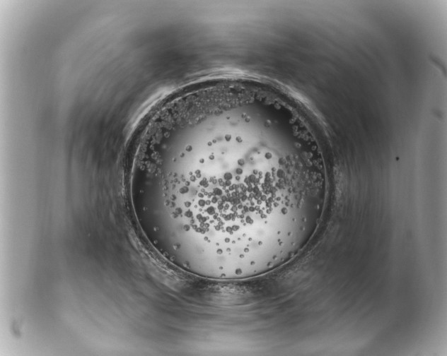 X0000102501318200808151511