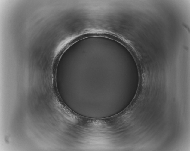 X0000102501319200808151511