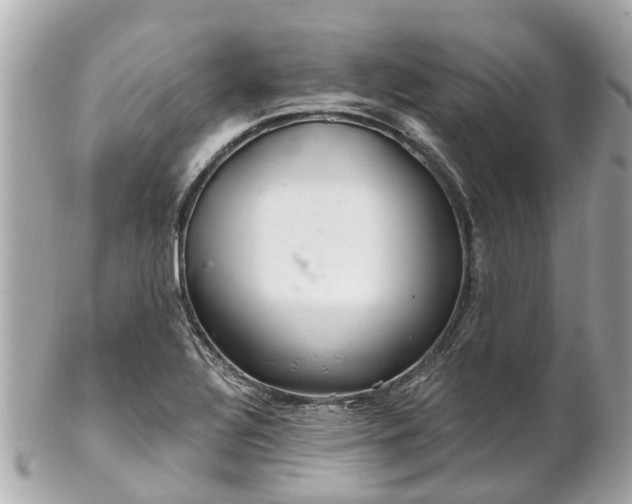 X0000102501320200808151511