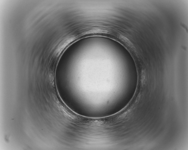 X0000102501321200808151511