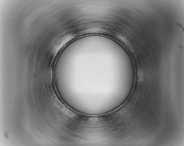 X0000102501322200808151511