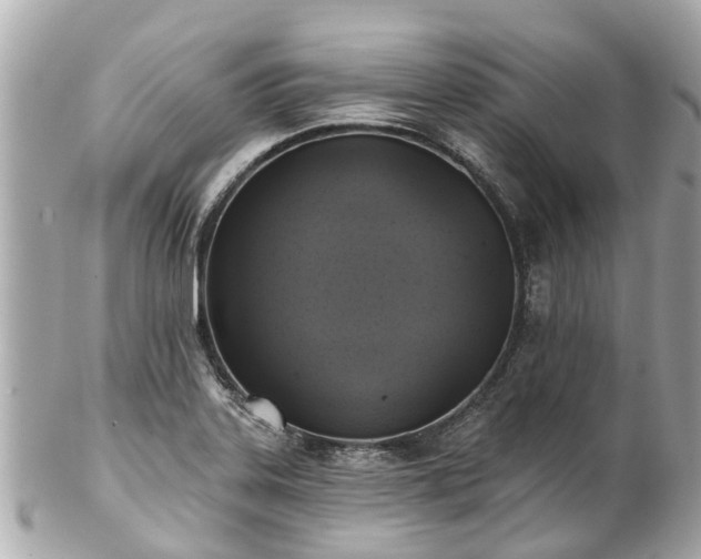 X0000102501323200808151511