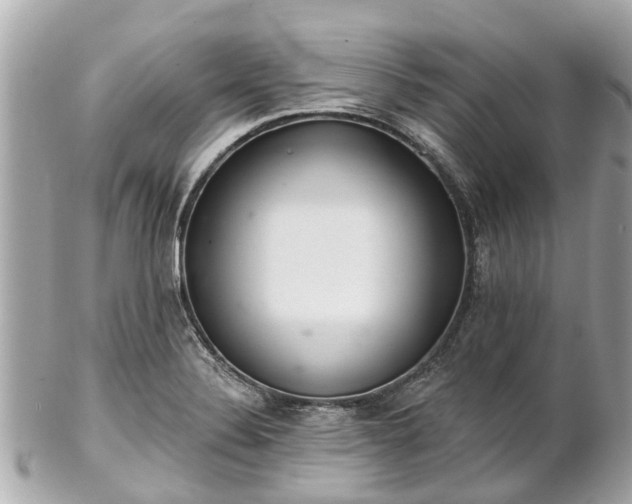 X0000102501324200808151511