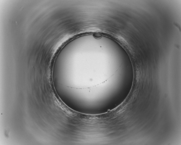 X0000102501326200808151511