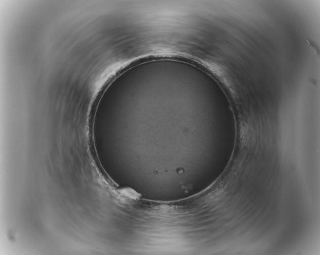 X0000102501327200808151511