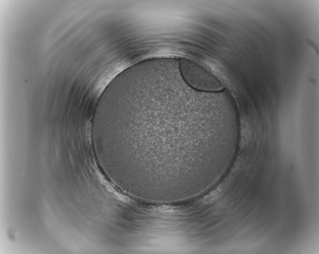 X0000102501329200808151511