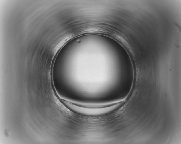 X0000102501330200808151511