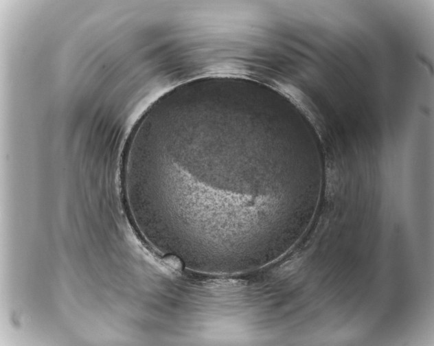 X0000102501331200808151511