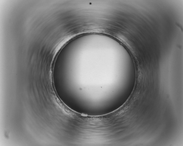 X0000102501332200808151511