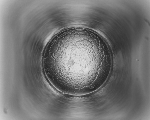 X0000102501333200808151511