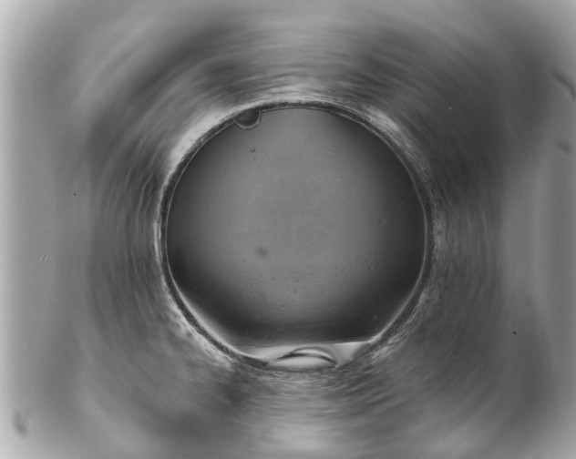 X0000102501334200808151511