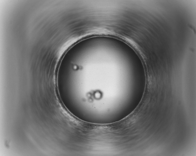 X0000102501335200808151511