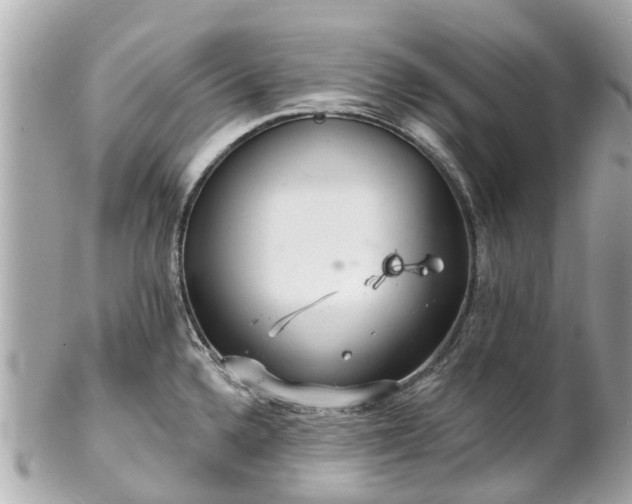 X0000102501336200808151511