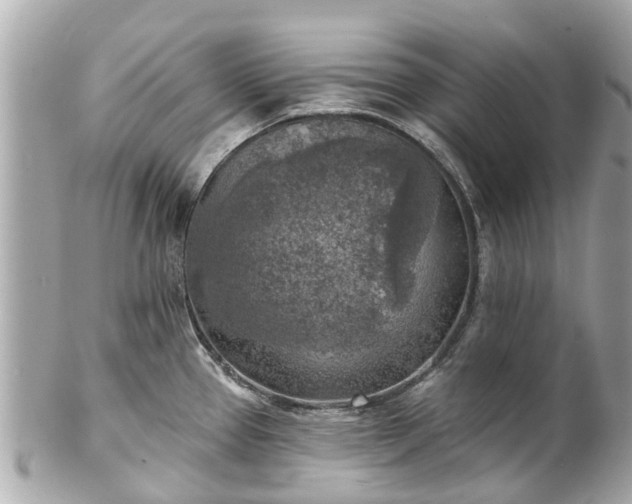 X0000102501337200808151511