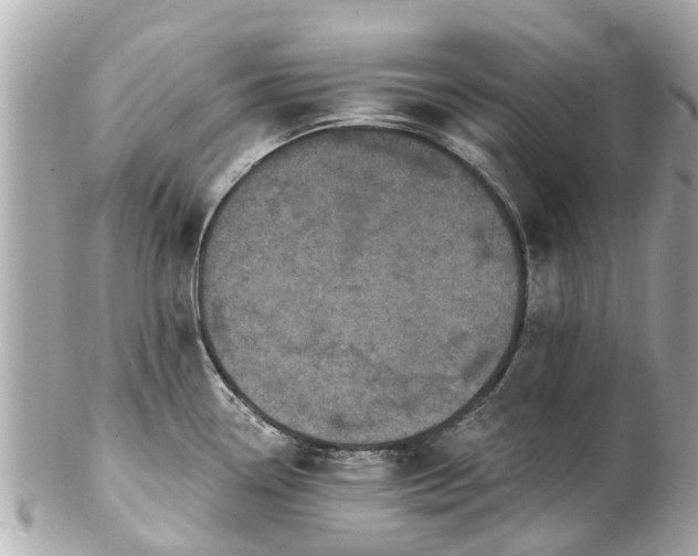 X0000102501338200808151511