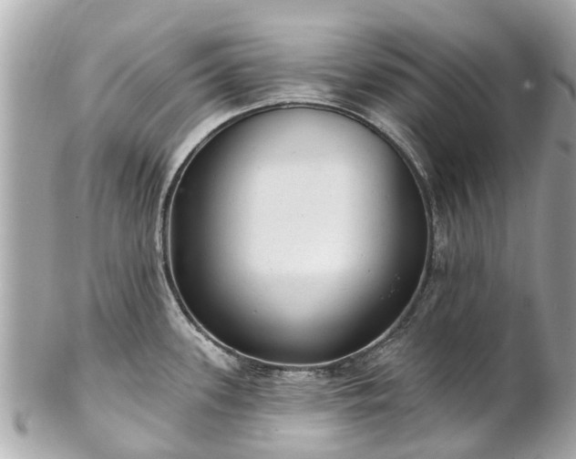 X0000102501339200808151511