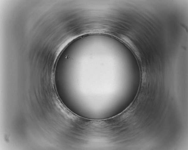 X0000102501340200808151511