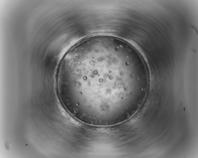 X0000102501341200808151511