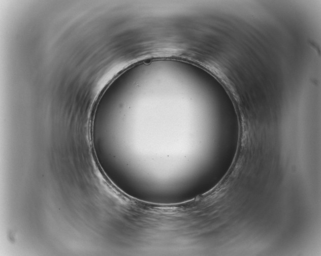 X0000102501342200808151511