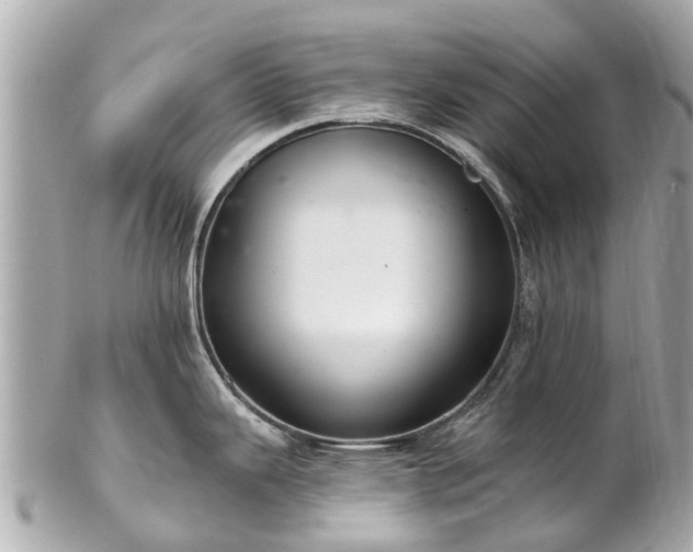 X0000102501343200808151511