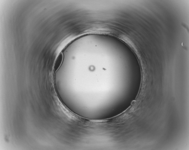 X0000102501344200808151511