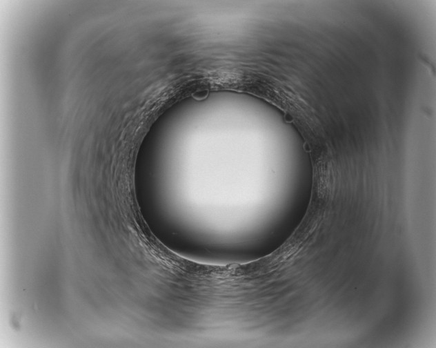 X0000102501345200808151510