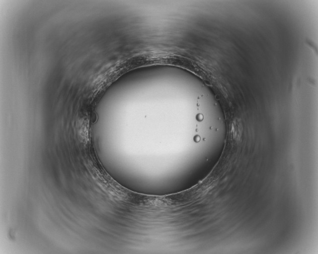 X0000102501348200808151510