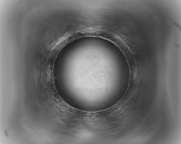 X0000102501350200808151510