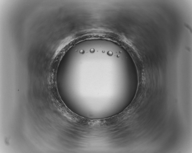 X0000102501352200808151510