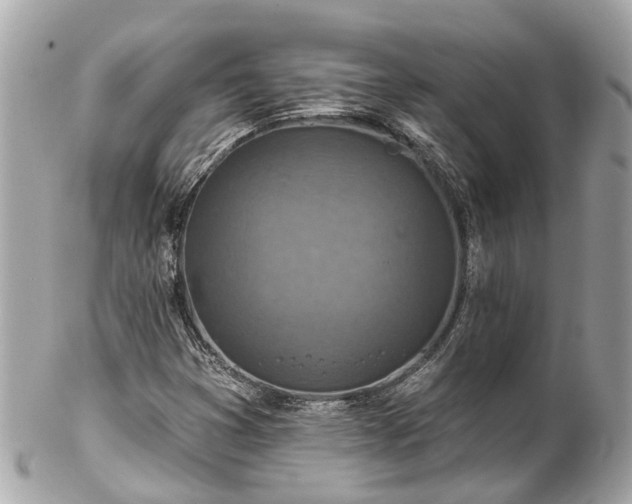 X0000102501353200808151510