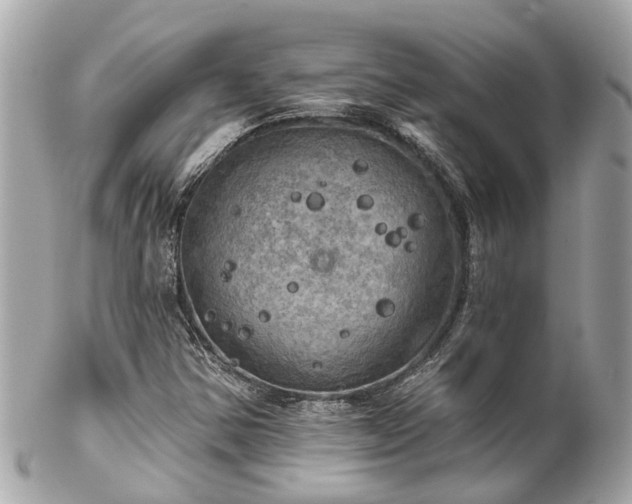 X0000102501354200808151510