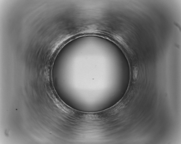 X0000102501356200808151510