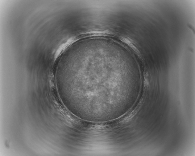 X0000102501357200808151510