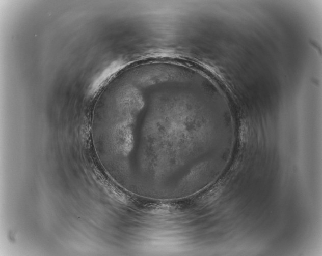 X0000102501359200808151510