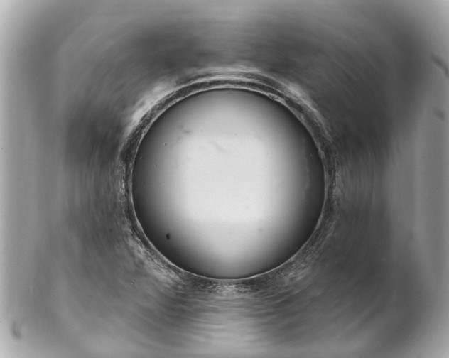 X0000102501360200808151510