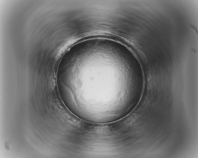 X0000102501363200808151510