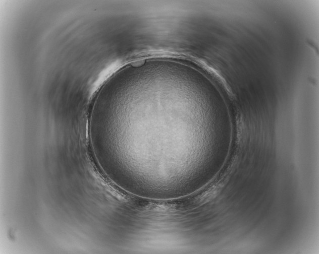 X0000102501365200808151510