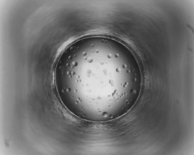 X0000102501366200808151510