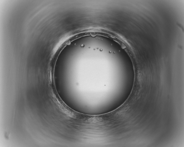 X0000102501368200808151510