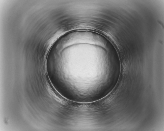 X0000102501371200808151510