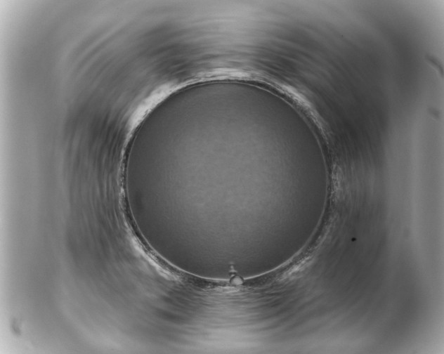 X0000102501373200808151510