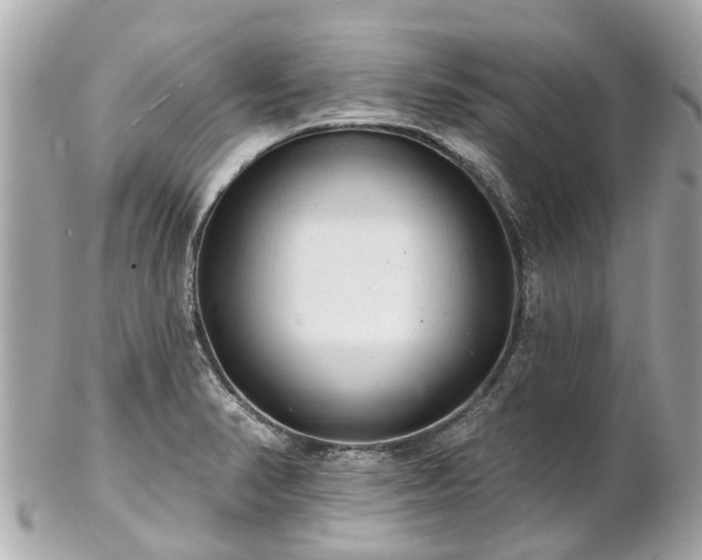 X0000102501374200808151510