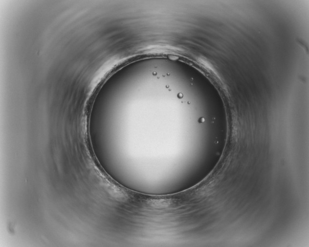 X0000102501376200808151510