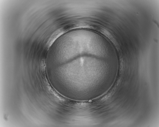 X0000102501377200808151510